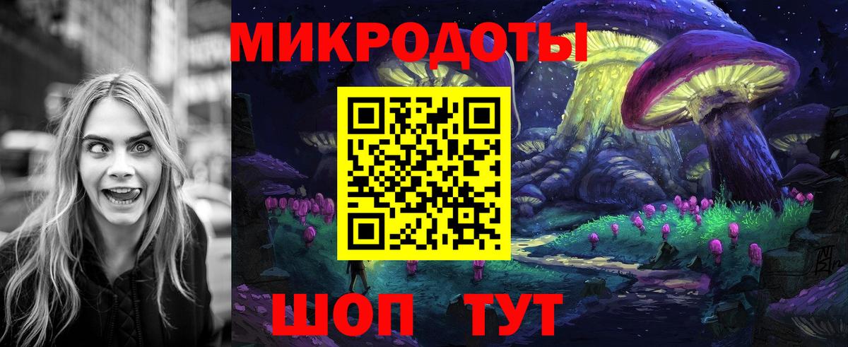 Галлюциногенные грибы мухоморы Сыктывкар